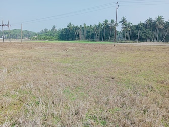 Commercial Land 5040 Sq.Ft. For Resale in Natagarh Kolkata  7735224