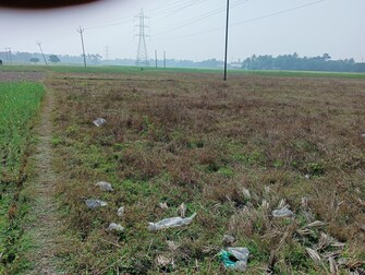 Commercial Land 5040 Sq.Ft. For Resale in Natagarh Kolkata  7735224