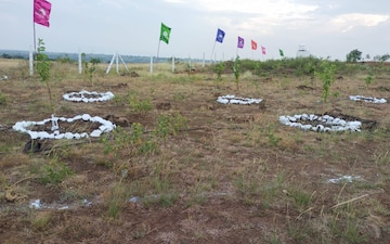 Plot For Sale in