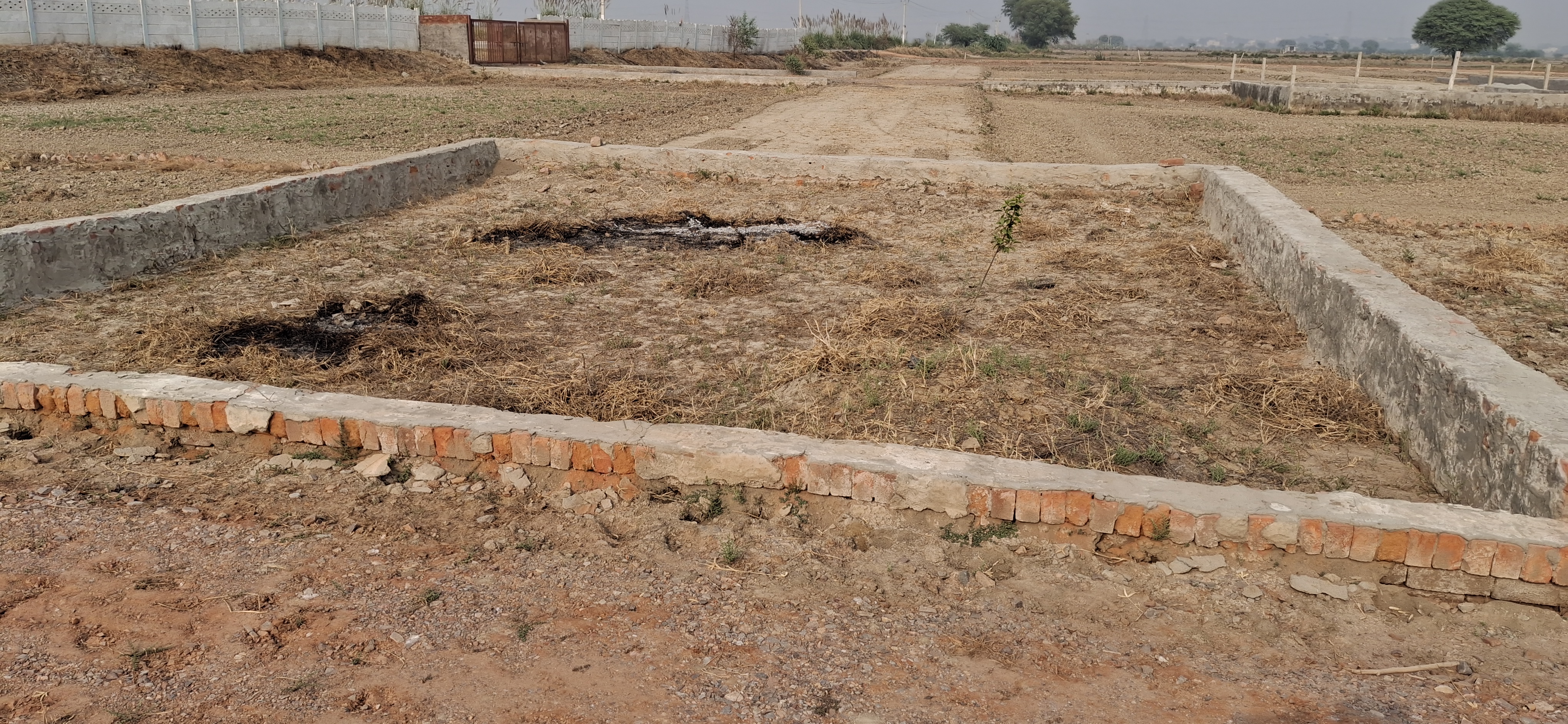 Commercial Land 168 Sq.Yd. For Resale in Greater Noida West Greater Noida  7754373