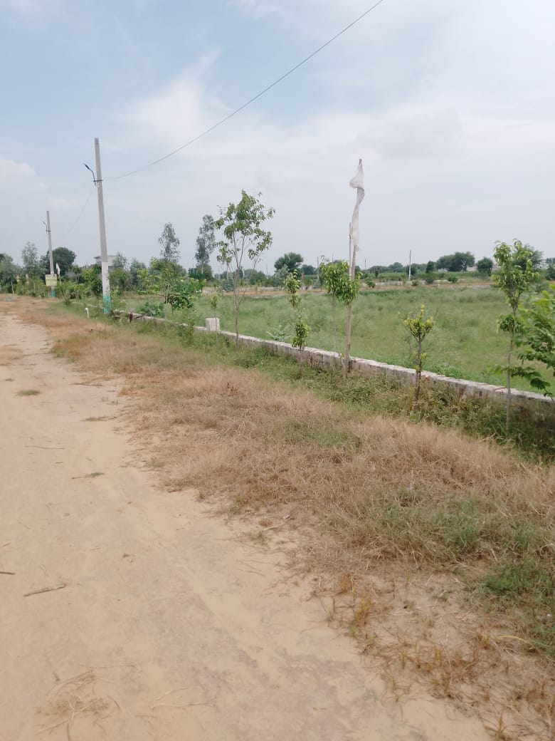 Plot For Sale in Tappal Yamuna Expressway 