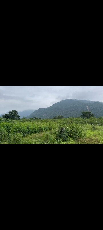 Plot Area in  Plot at Sahastradhara Road – for Sale