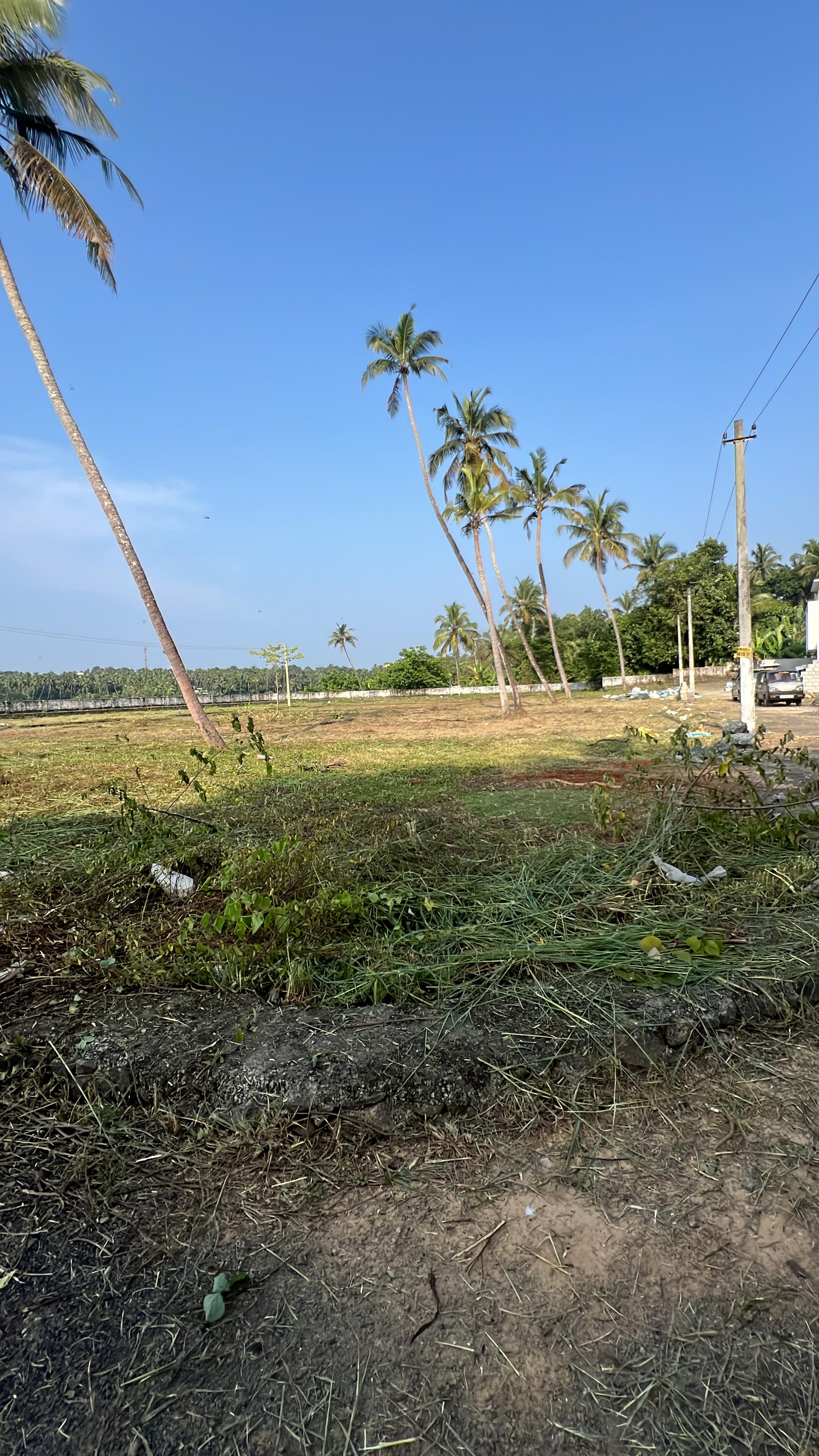 Plot For Resale in Mundoor Thrissur  7756560