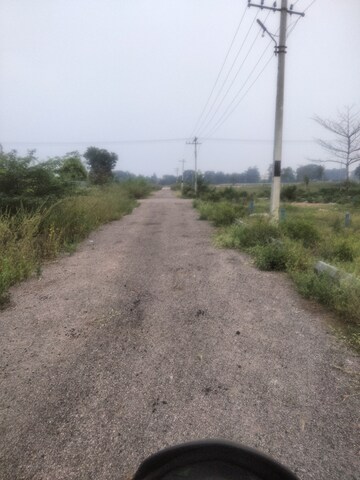 Plot Area in  Plot at Tadwai, Telangana, India – for Sale