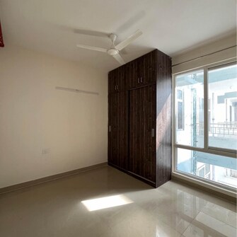 2 BHK Apartment For Rent in Zara Rossa Sector 112 Gurgaon  7756675