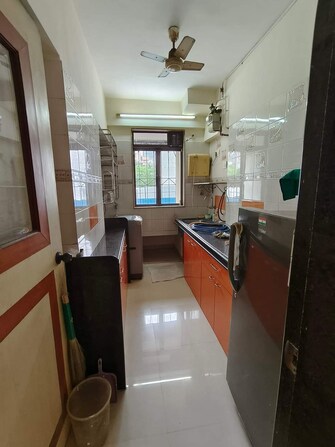 1 BHK Apartment For Rent in Shelar Park Kalyan West Thane  7756945