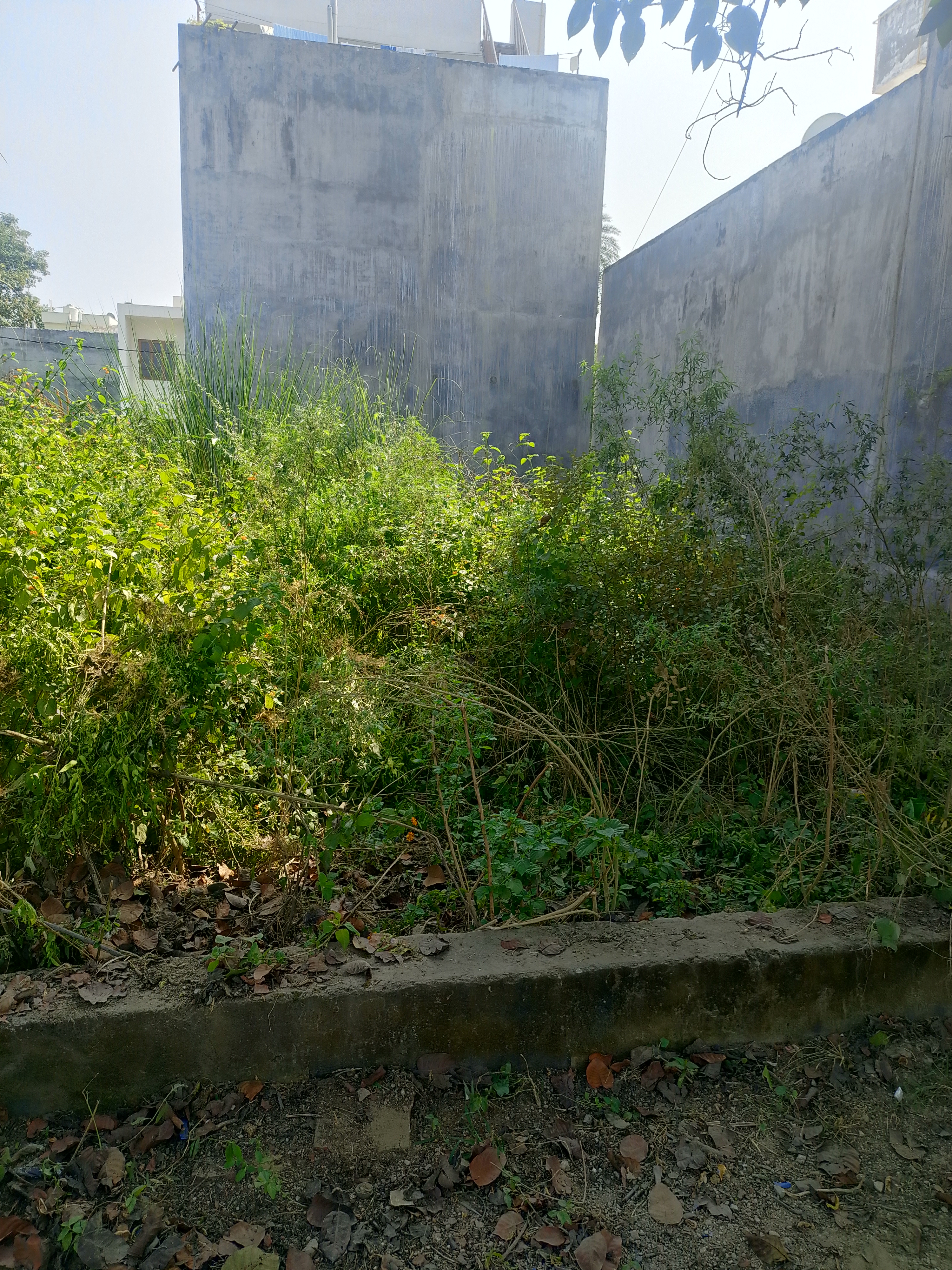 Plot For Resale in Arsha Madhav Greens Gomti Nagar Lucknow  7756954