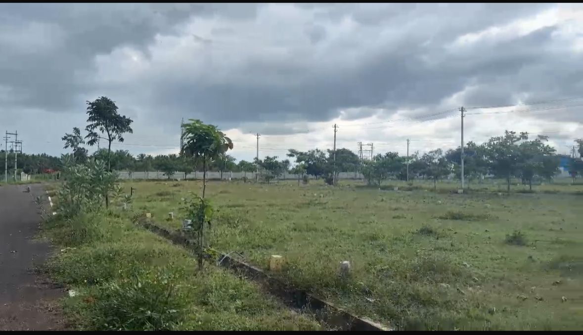 Plot For Resale in Mysore University Mysore  7756971