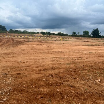 Plot Area in  Plot at Fortune Crystal, Amangal – for Sale
