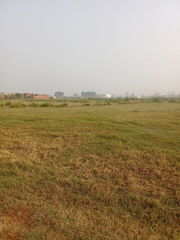 Plot Area in  Plot at Tappal – for Sale