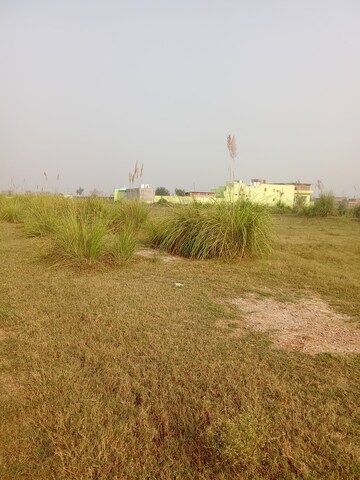 Plot Area in  Plot at Tappal – for Sale
