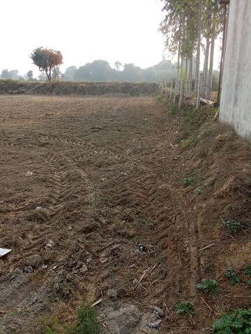 Plot Area in  Plot at Tappal – for Sale