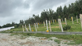 Plot For Resale in Nh 207 Bangalore  7758198