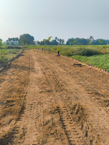 Plot Area in  Plot at Naubatpur – for Sale