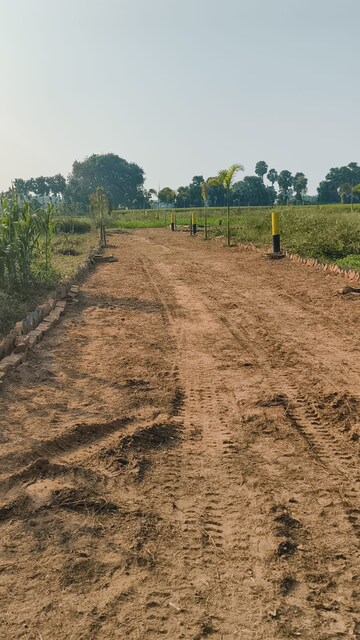 Plot Area in  Plot at Naubatpur – for Sale