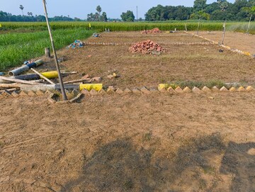 Plot Area in  Plot at Naubatpur – for Sale