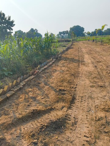 Plot Area in  Plot at Naubatpur – for Sale