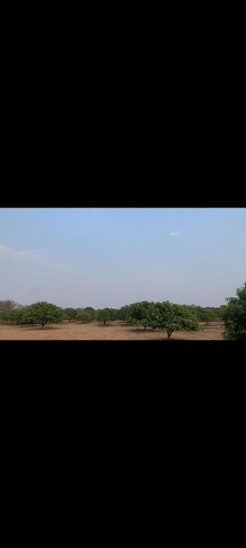 Plot Area in  Land at Shabad – for Sale