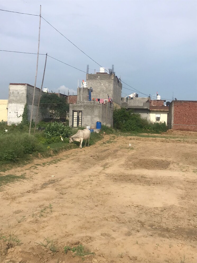 Exterior View, neharpar  60 Sq.Yd. Plot In Neharpar Faridabad 7760216