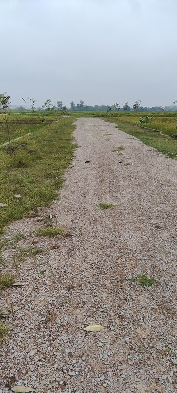  Plot For Sale in Ramnagar
