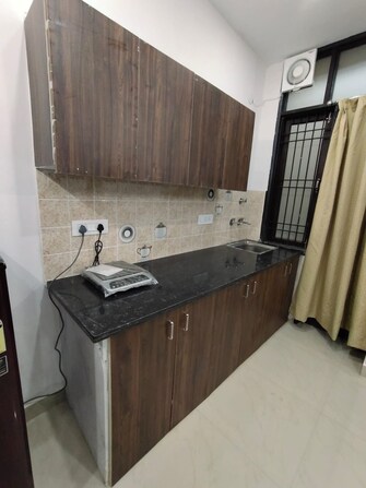 1 BHK Builder Floor For Rent in DLF Qerwa Sector 28 Gurgaon  7760412