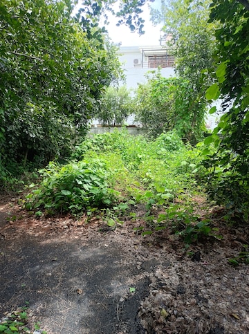 Plot Area in  Plot at Bharti Nagar – for Sale