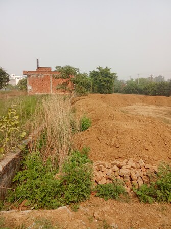 Plot For Resale in Krishna Nagar Aligarh  7760933