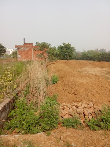 Plot For Resale in Krishna Nagar Aligarh  7760933