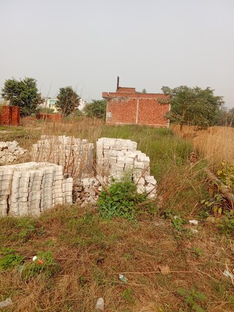 Plot For Resale in Krishna Nagar Aligarh  7760933