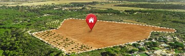  Office Space For Sale in Alphathum, Sector 90