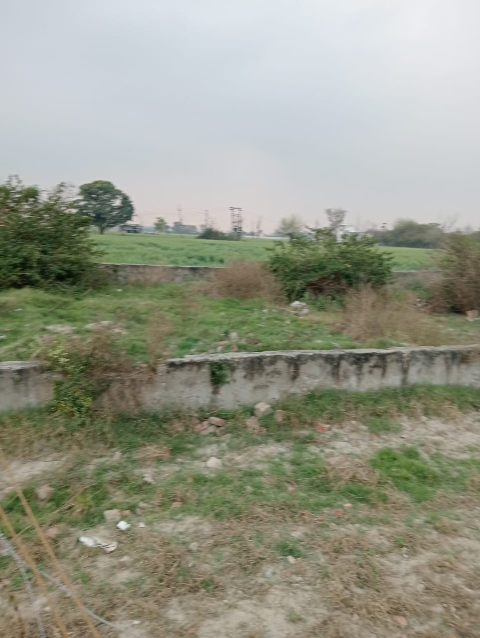 Plot For Resale in Tappal  Greater Noida  7761574