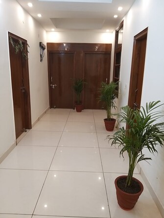 1 RK Builder Floor For Rent in Cityview Apartments Sector 35 Noida  7761632