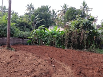 Plot For Resale in Chiyyaram Thrissur  7761644