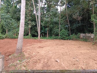 Plot For Resale in Chiyyaram Thrissur  7761644