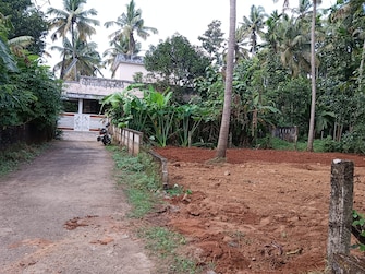 Plot For Resale in Chiyyaram Thrissur  7761644