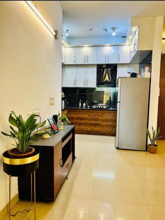 2 BHK Apartment For Rent in Agrim Apartment Sector 43 Gurgaon  7762244