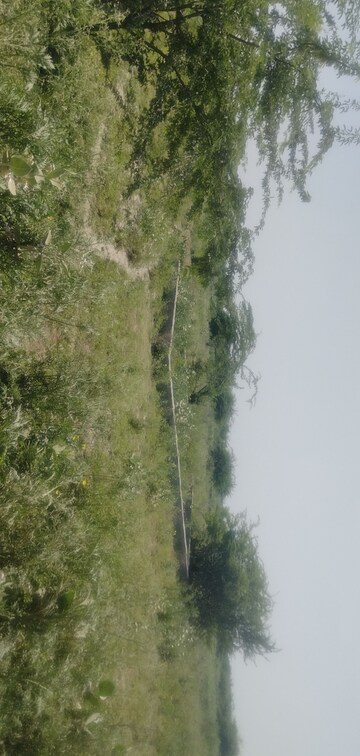  Plot – Exterior View View at Deri Skaner - for Sale
