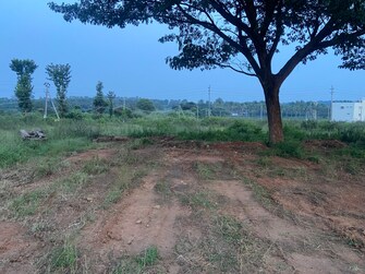 Plot For Resale in Hanchya Mysore  7762678