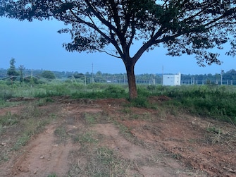 Plot For Resale in Hanchya Mysore  7762678