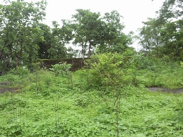 Plot For Resale in Murbad Thane  7762727