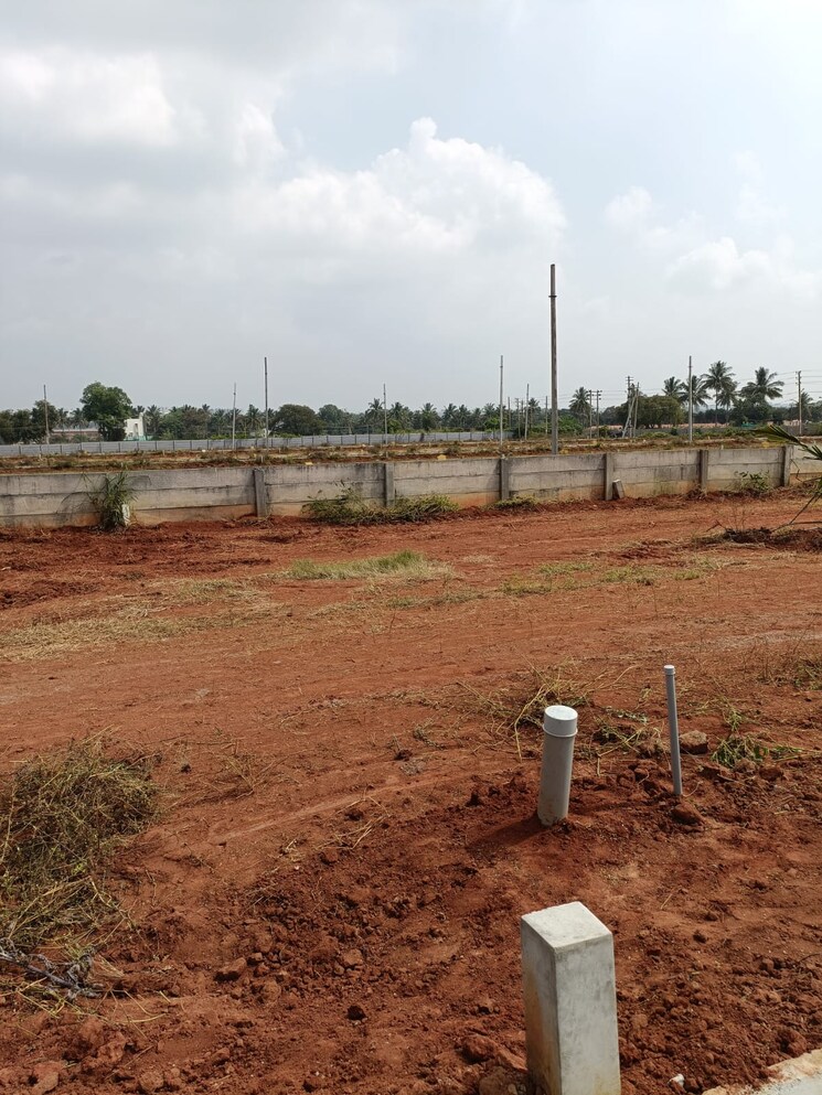 undefined, alliance-el-dorado-park  1200 Sq.Ft. Plot In Anekal Bangalore 7762861