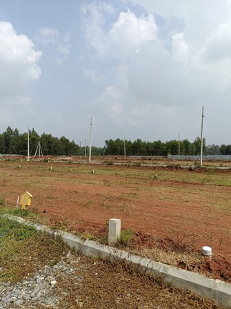 Plot For Resale in Alliance El Dorado Park Anekal Bangalore  7762861