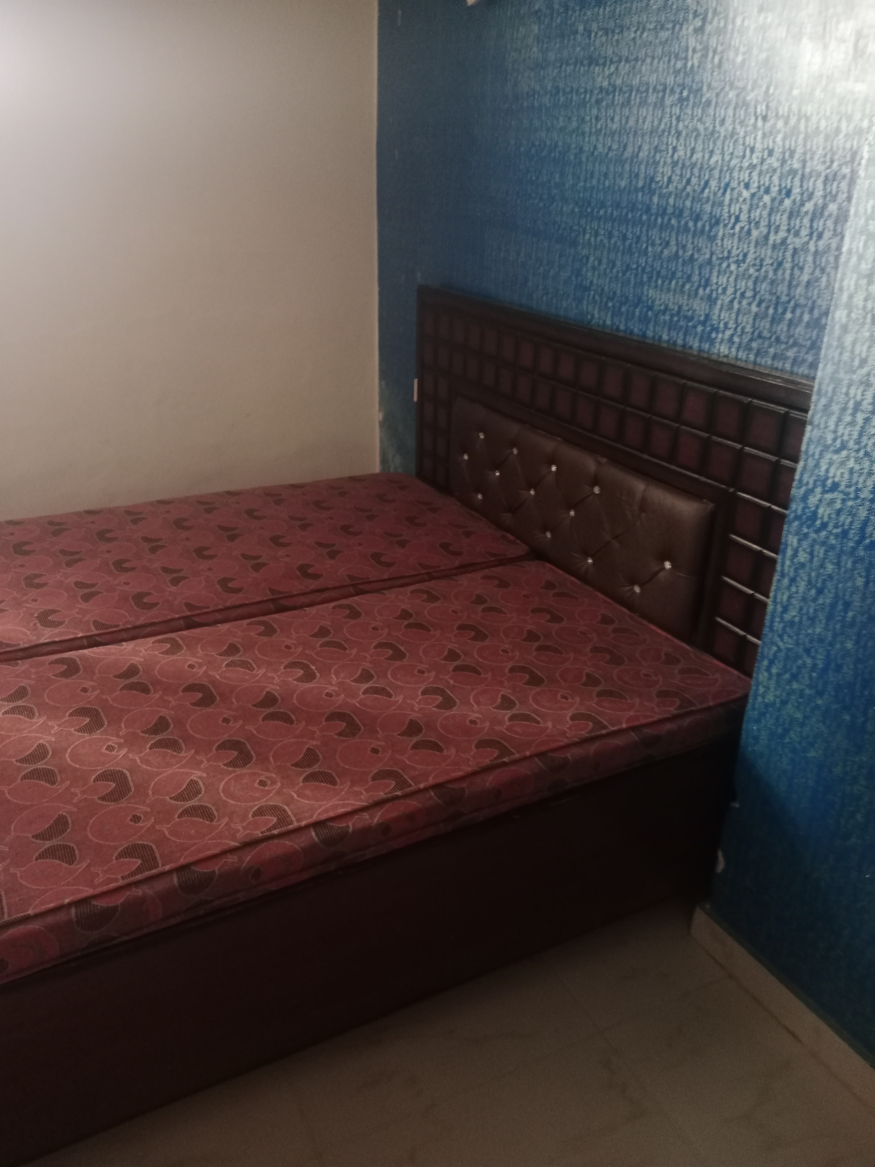 3 BHK Apartment For Rent in Ambala Highway Zirakpur  7762887