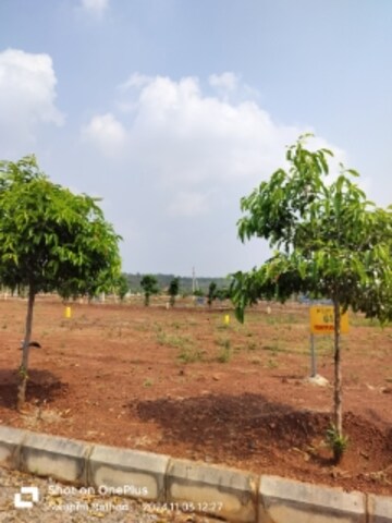 Plot Area in  Plot at Kamkole – for Sale