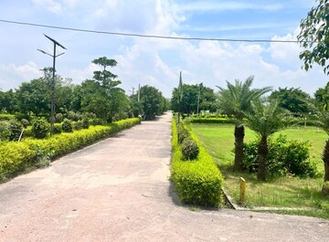  Plot For Sale in Jewar