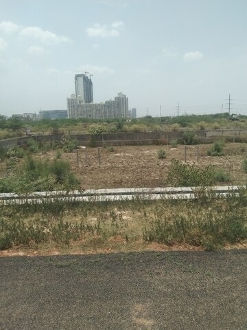 Plot Area in  Plot at Sector 128 – for Sale