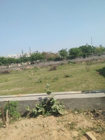 Plot Area in  Plot at Sector 128 – for Sale
