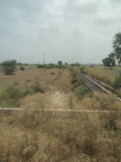 Plot For Resale in Sector 128 Noida  7763090