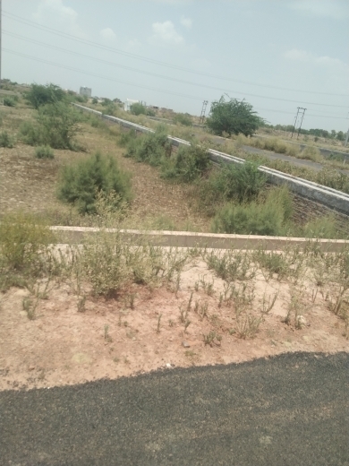 Plot For Resale in Gulavali Noida  7763110