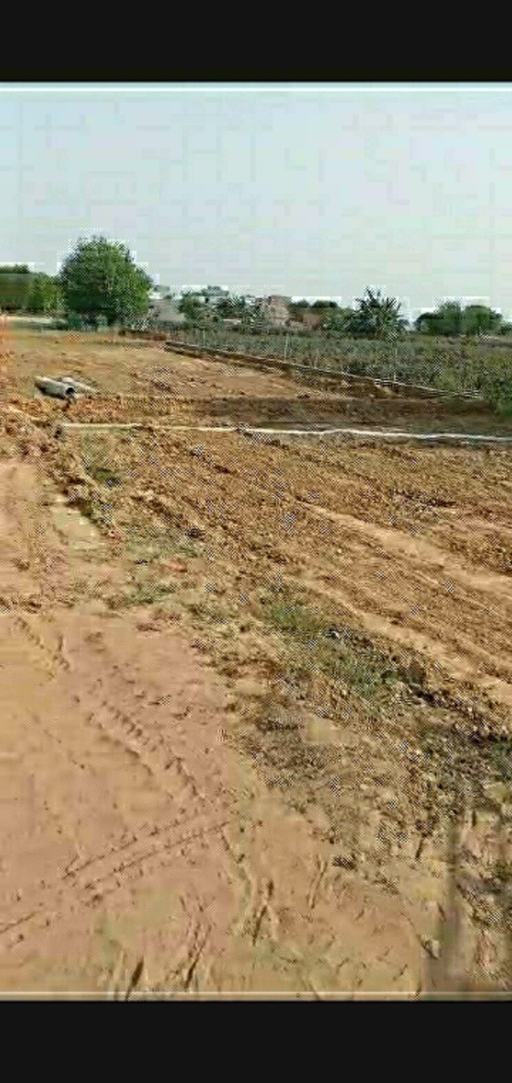 undefined, alok-vihar  110 Sq.Yd. Plot In Sector 50 Noida 7763207